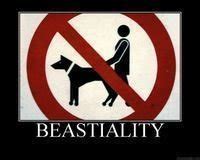 BESTIALITY definition in American English 